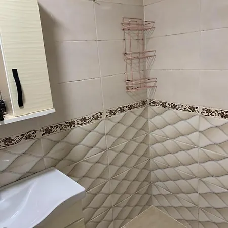 公寓式酒店 Sultanahmet Mansion Apart
